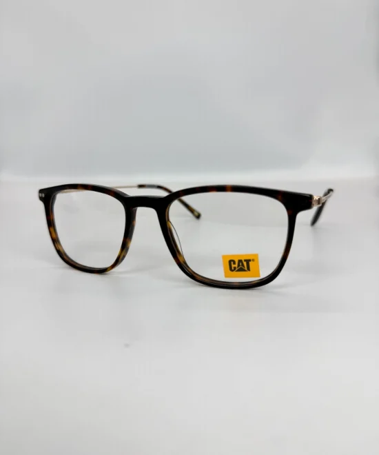 CAT 110 002 FCFA(1)
