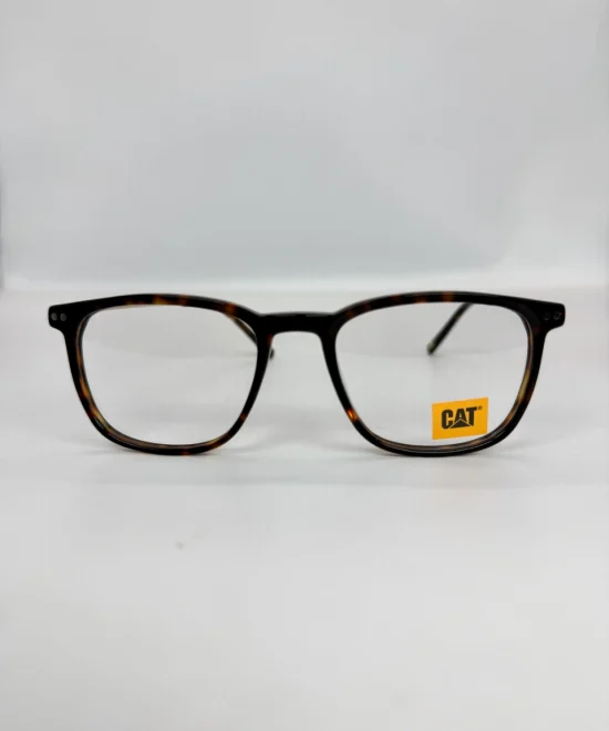CAT 110 002 FCFA(2)