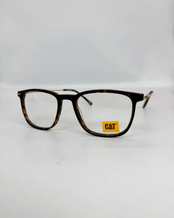 CAT 110 002 FCFA(1)