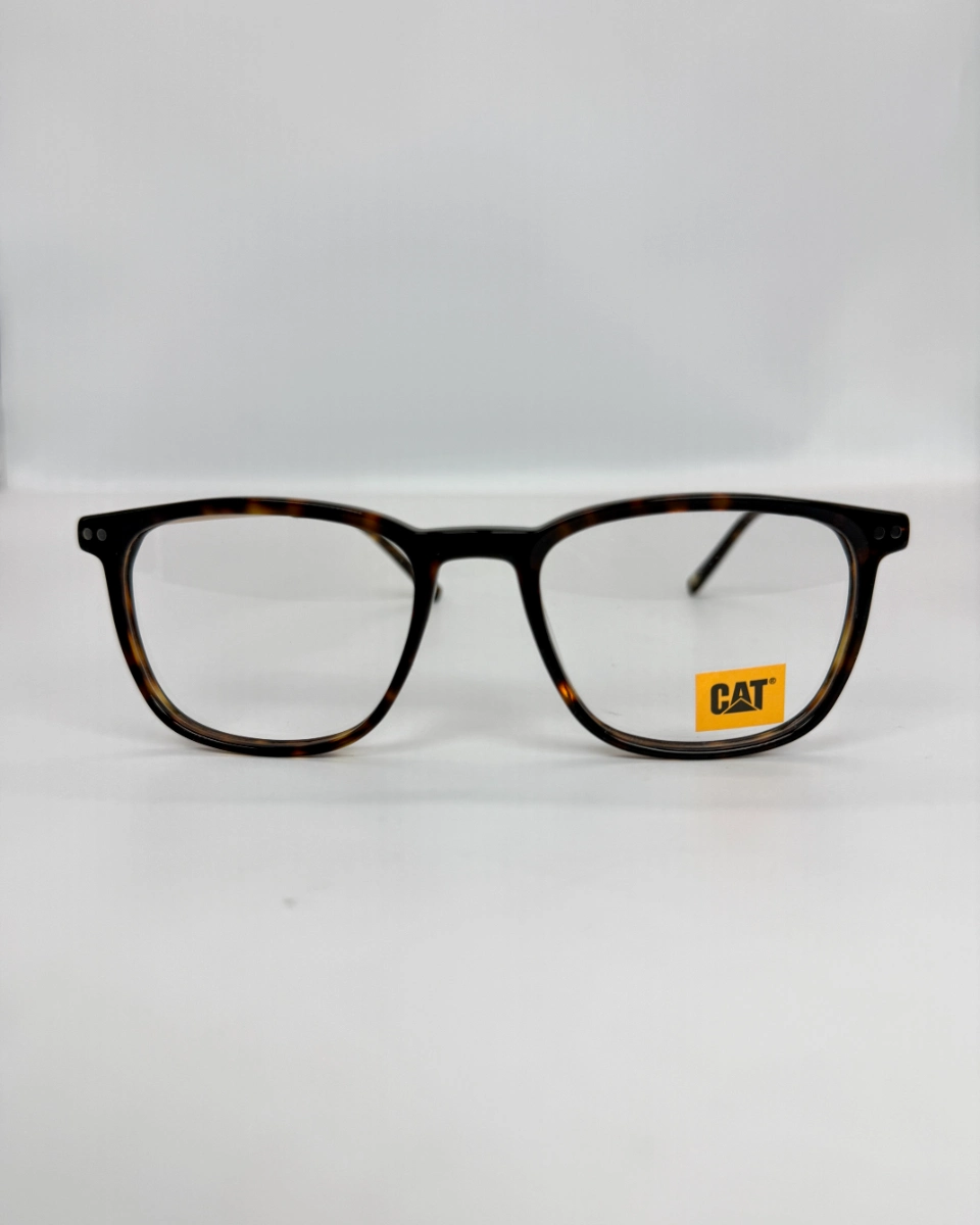 CAT 110 002 FCFA(2)