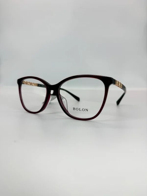 BOLON 100 032 FCFA(2)